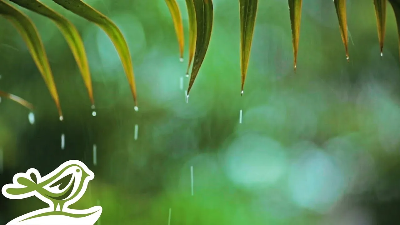 Soothing Relaxation thumbnail example of a faceless ambient and relaxation channel